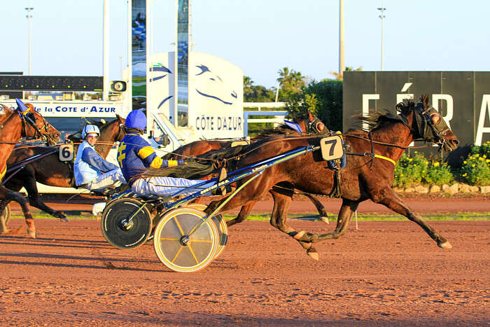 Quinté mercredi 22 janvier 2025 Cagnes Pronostics TURF FR