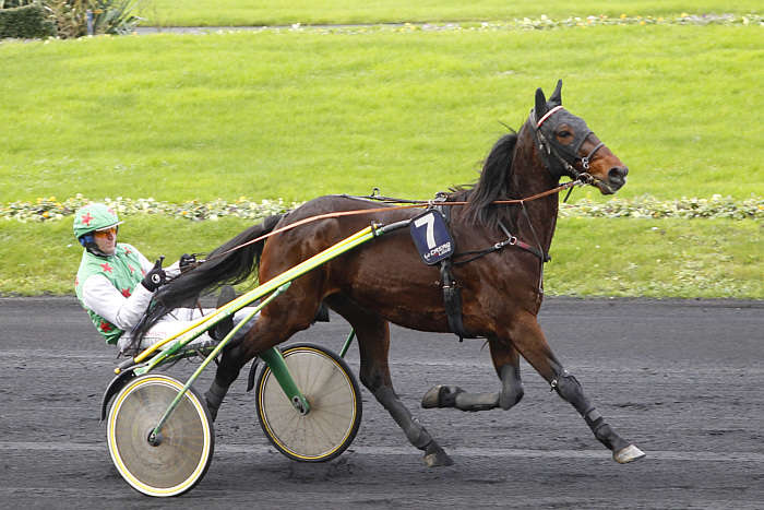 Quinté jeudi 23 janvier 2025 Vincennes Pronostics TURF FR