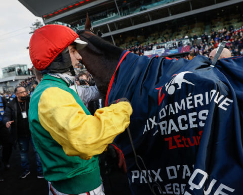 Prix d’Amérique Races ZETURF #Qualif 6 : Prix de Belgique