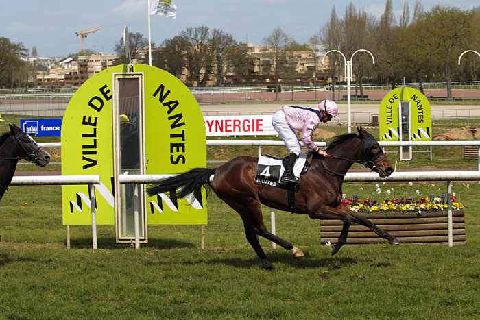 arrivée quinté 200623