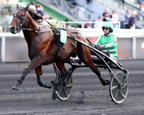 Prix d’Amérique Races 2025 #Qualif 3 : Critérium Continental