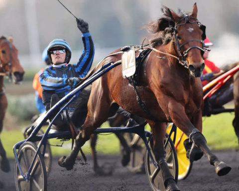 Prix d’Amérique Races 2025 : Legend Race