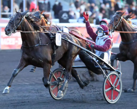 Prix d’Amérique Races 2025 #Qualif 6 : Prix de Belgique