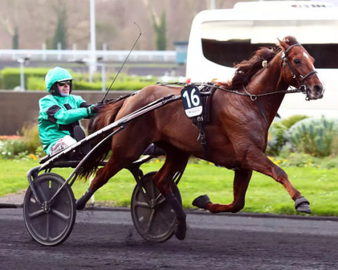 Prix d’Amérique Races 2025 #Qualif 5 : Prix de Bourgogne