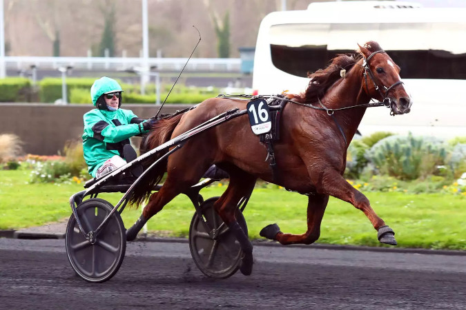 Prix d’Amérique Races 2025 #Qualif 5 : Prix de Bourgogne