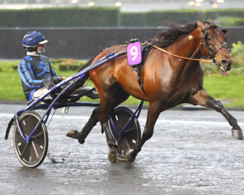 Prix d’Amérique Races 2025 #Qualif 5 : Prix Ténor de Baune