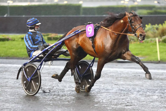 Prix d’Amérique Races 2025 #Qualif 5 : Prix Ténor de Baune