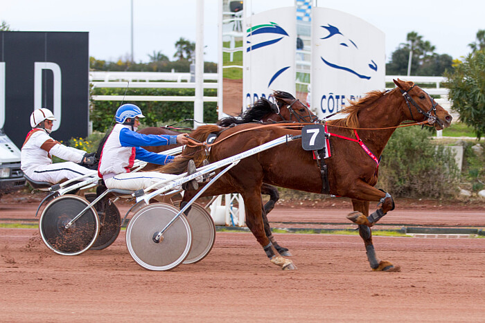 Arrivée quinté 11 janvier 2024 à Cagnes