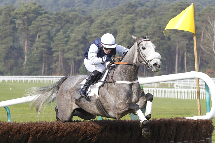 Arrivée quinté 10 janvier 2024 à Vincennes