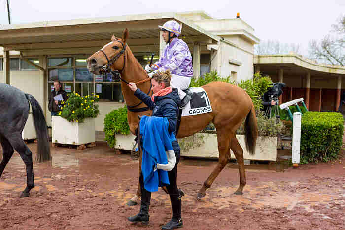 Arrivée quinté 15 janvier 2024 à Cagnes