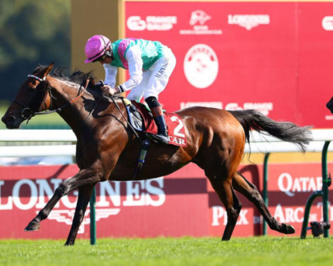 Arrivée Qatar Prix de l'Arc de Triomphe 2024