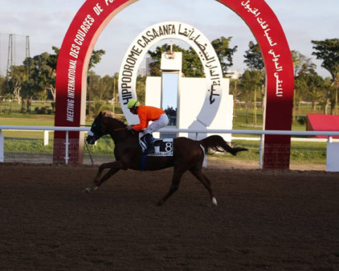 Grand Prix Sa Majesté Mohamed VI : Quinté Maroc 16 novembre 2024