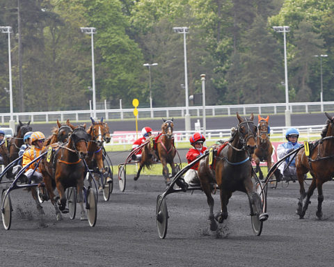 Arrivée Prix de Bourgogne -Amérique Races Q5 2025