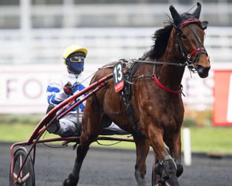 Quinté du dimanche 2 février 2025 à Vincennes: les pronostics