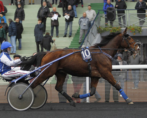 Quinté du dimanche 5 janvier 2025 à Vincennes: les pronostics