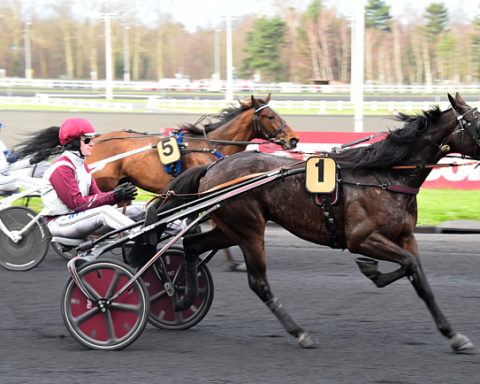 Quinté du lundi 6 janvier 2025 à Vincennes: les pronostics