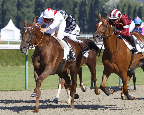 Quinté du vendredi 10 janvier 2025 à Deauville: les pronostics