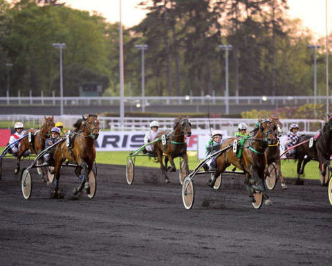 Quinté du samedi 11 janvier 2025 à Vincennes: les pronostics