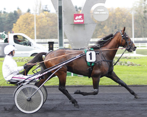 Quinté du dimanche 12 janvier 2025 à Vincennes: les pronostics