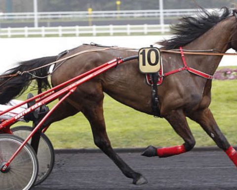 Quinté du vendredi 7 février 2025 à Vincennes: les pronostics