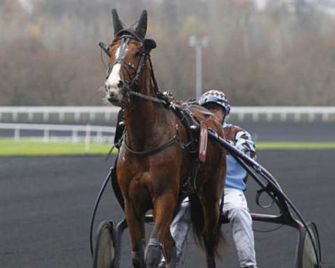 Quinté du samedi 8 février 2025 à Vincennes: les pronostics