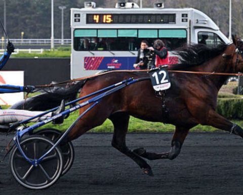 Quinté du dimanche 9 février 2025 à Vincennes: les pronostics