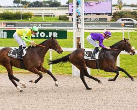 Quinté du lundi 10 février 2025 à Cagnes: les pronostics