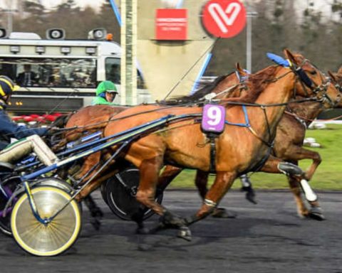 Quinté du mardi 11 février 2025 à Vincennes: les pronostics