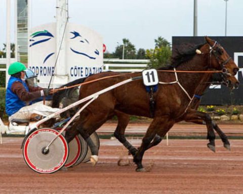 Quinté du jeudi 13 février 2025 à Cagnes-sur-Mer: les pronostics