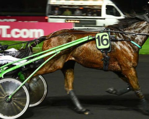 Quinté du vendredi 14 février 2025 à Vincennes: les pronostics