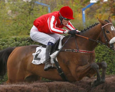 Quinté du samedi 15 février 2025 à Auteuil: les pronostics