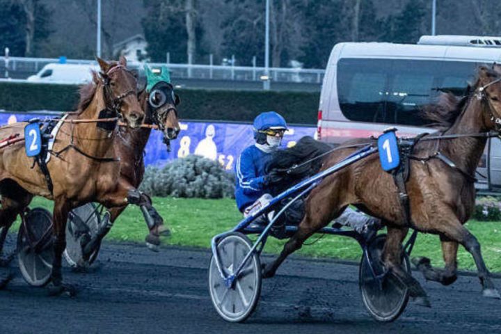 Quinté du dimanche 16 février 2025 à Vincennes: les pronostics