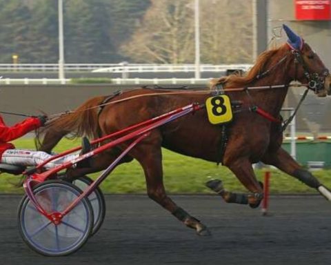 Quinté du lundi 17 février 2025 à Vincennes: les pronostics