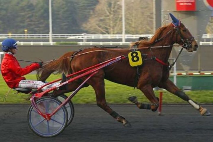 Quinté du lundi 17 février 2025 à Vincennes: les pronostics