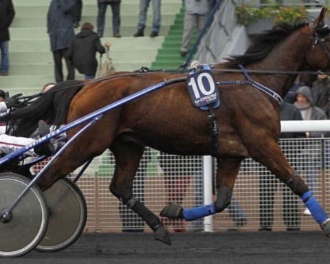 Quinté du mardi 4 février 2025 à Vincennes: les pronostics