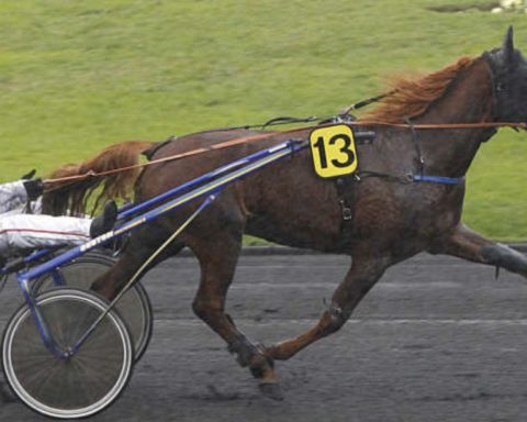 Quinté du jeudi 6 février 2025 à Vincennes: les pronostics