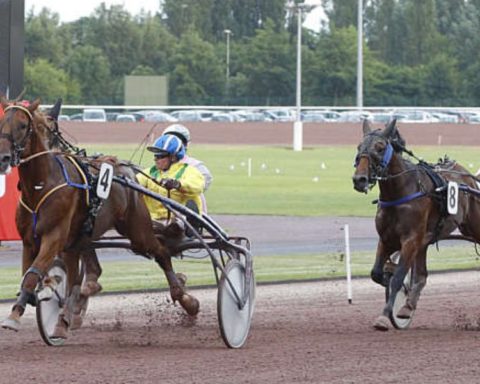 Quinté du lundi 10 mars 2025 à Caen: les pronostics